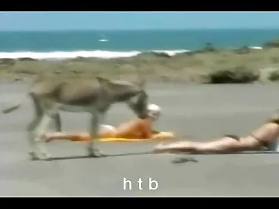 চমত্কার milfs বিএফ সেক্সি একটি ভ্রমণ গাইড যৌনসঙ্গম হয়